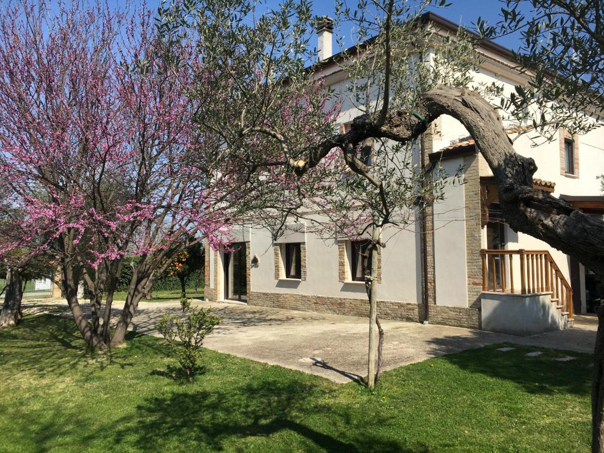 Farm stay Az. Agr. Parco Dei Buoi