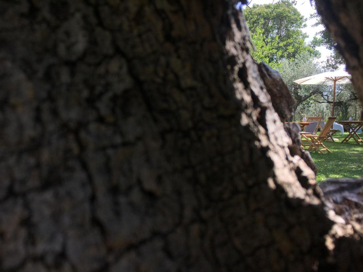 Az. Agr. Parco Dei Buoi Larino