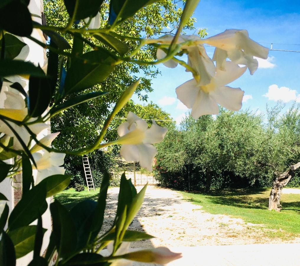 Farm stay Az. Agr. Parco Dei Buoi *