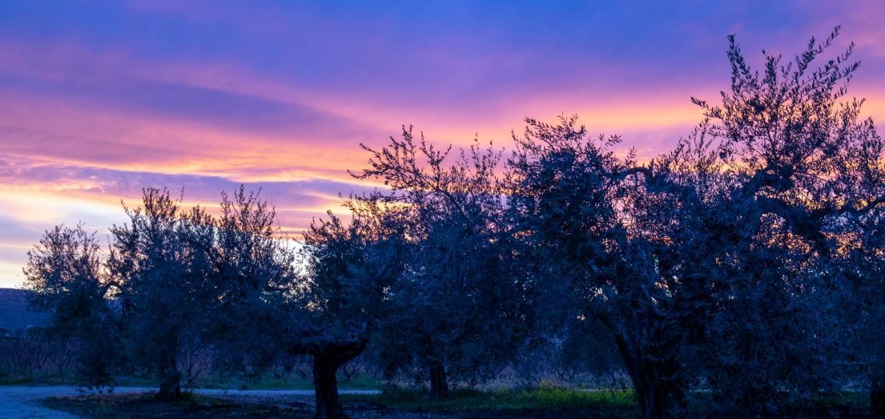 Az. Agr. Parco Dei Buoi Farm stay
