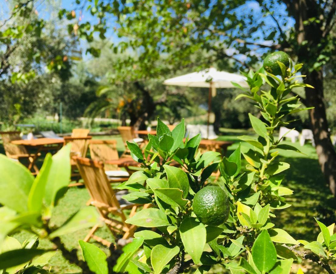Farm stay Az. Agr. Parco Dei Buoi