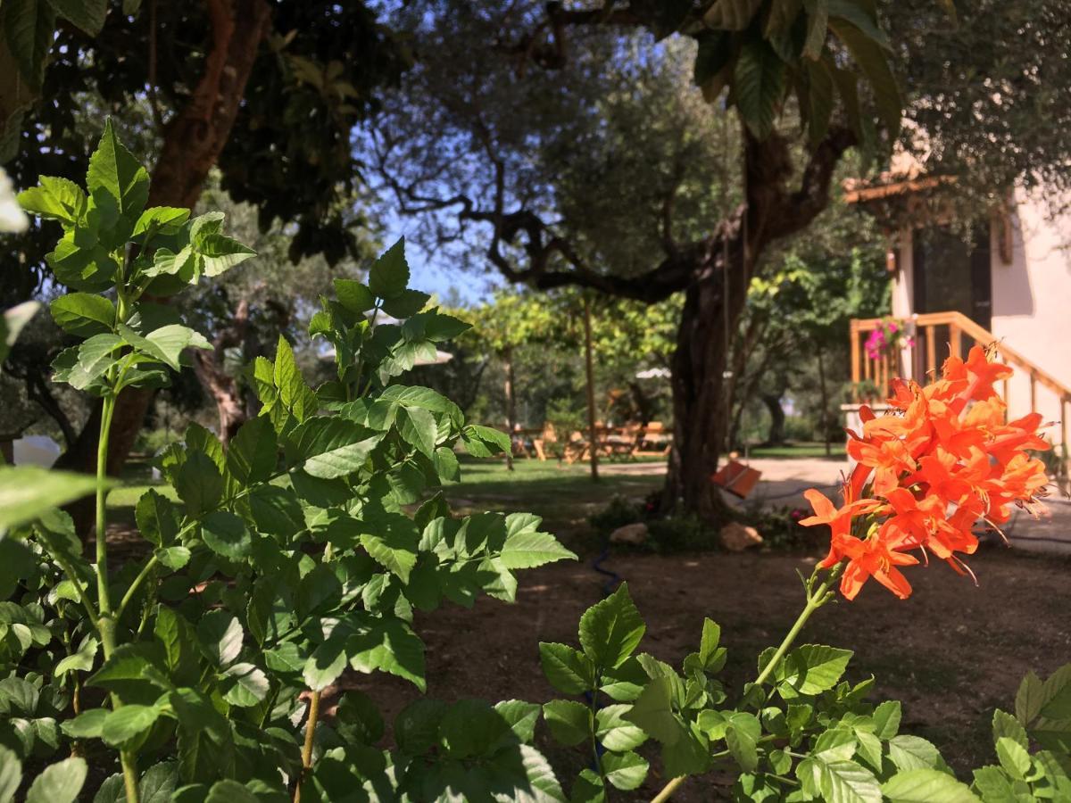 Az. Agr. Parco Dei Buoi Farm stay *