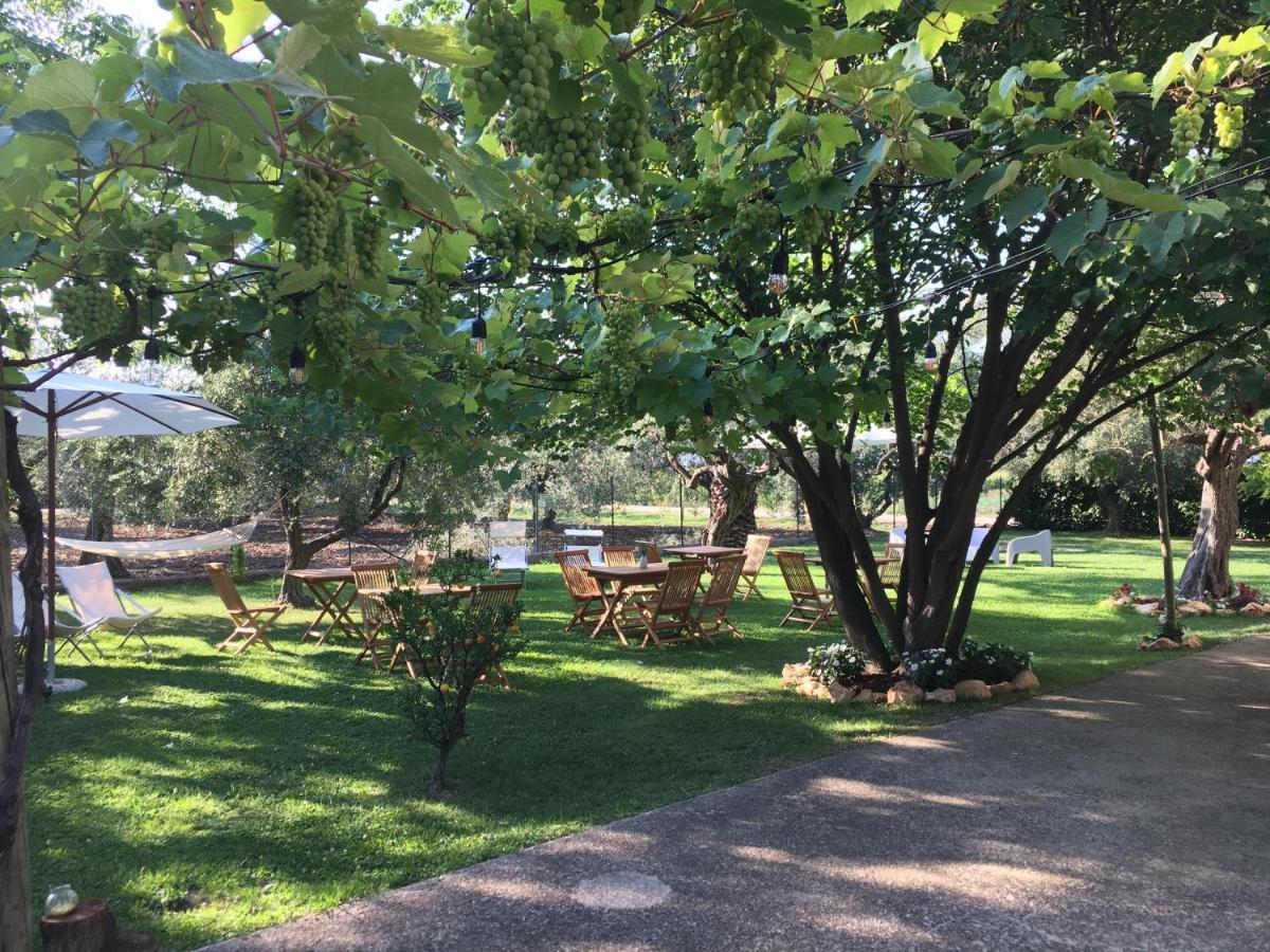 Az. Agr. Parco Dei Buoi